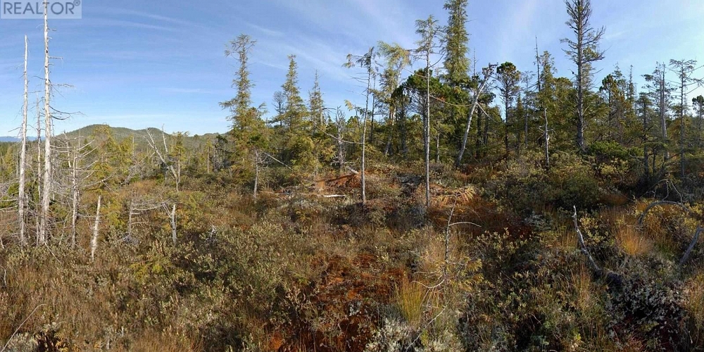 1302 GOBLE POINT Prince Rupert Photo 34