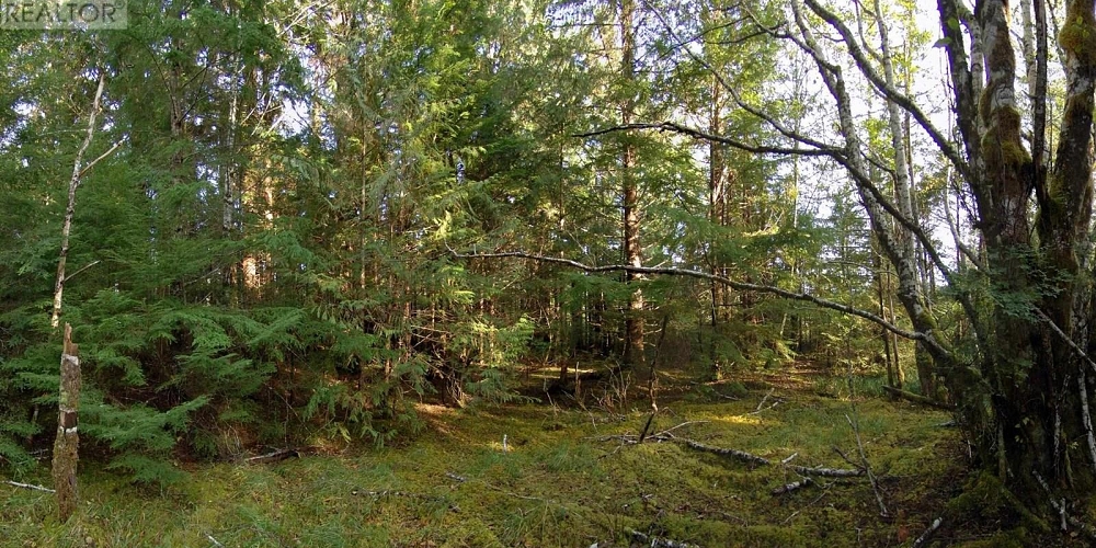 1302 GOBLE POINT Prince Rupert Photo 36