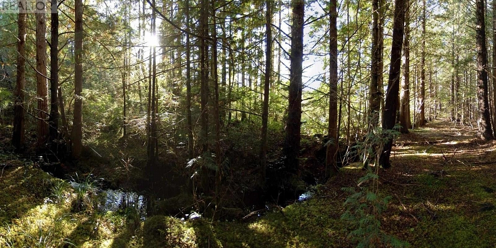 1302 GOBLE POINT Prince Rupert Photo 38