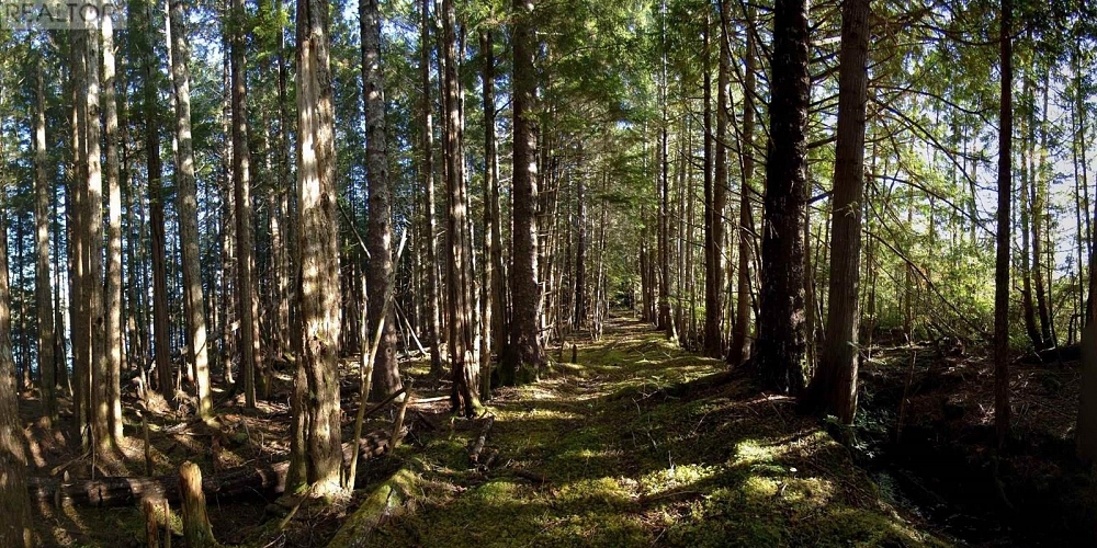 1302 GOBLE POINT Prince Rupert Photo 39