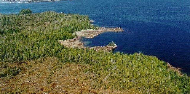 1302 GOBLE POINT Prince Rupert Photo 7