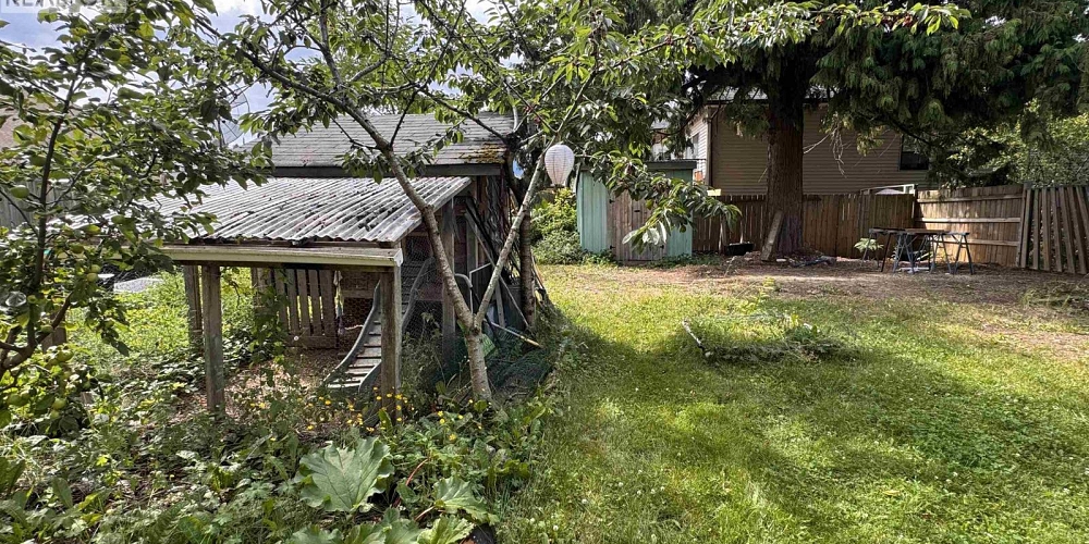 4729 WALSH AVENUE Terrace Photo 21