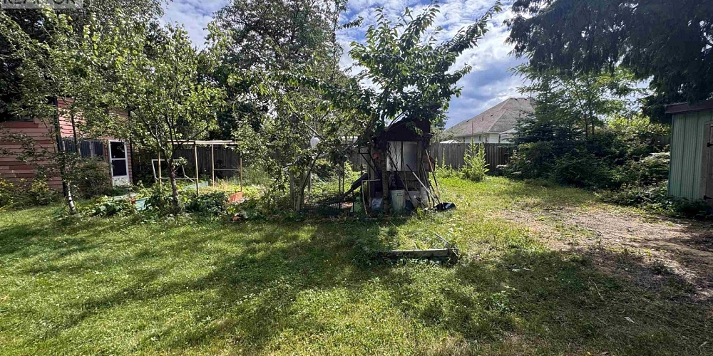 4729 WALSH AVENUE Terrace Photo 26