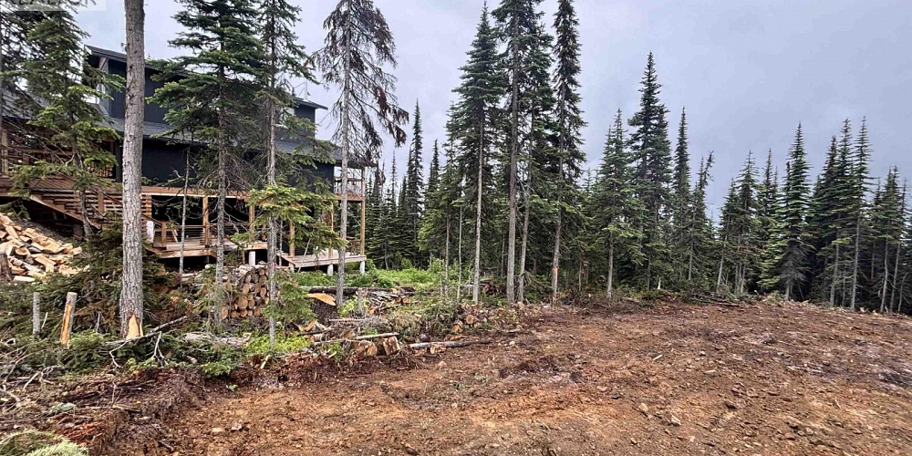 192 ALPINE WAY Smithers Photo 2