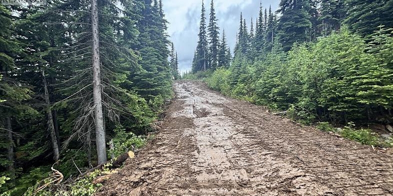 192 ALPINE WAY Smithers Photo 3