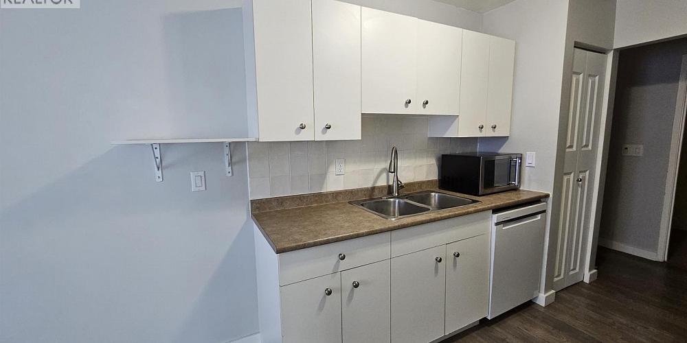 101 4931 WALSH AVENUE Terrace Photo 4