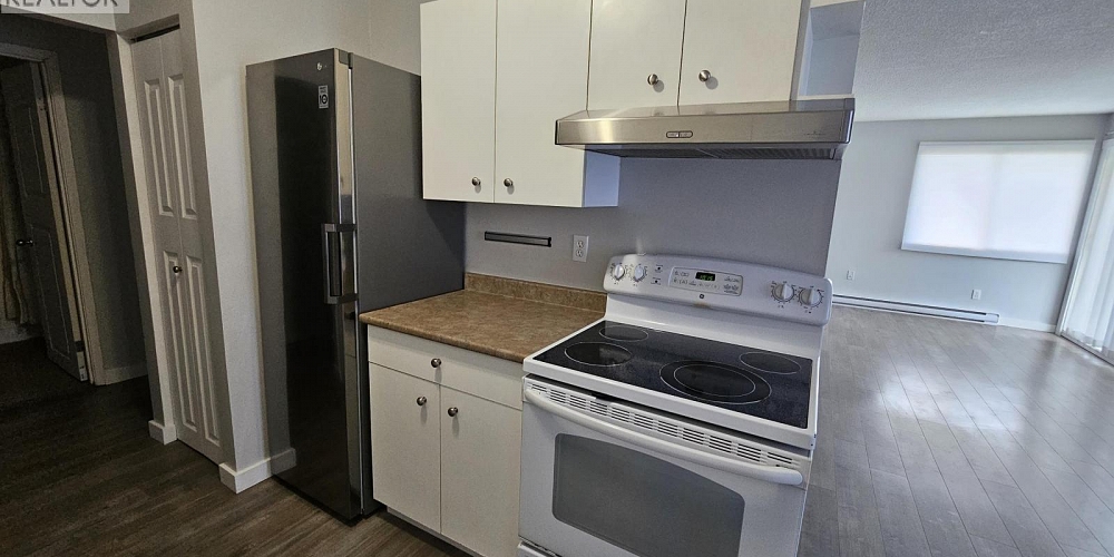 101 4931 WALSH AVENUE Terrace Photo 5