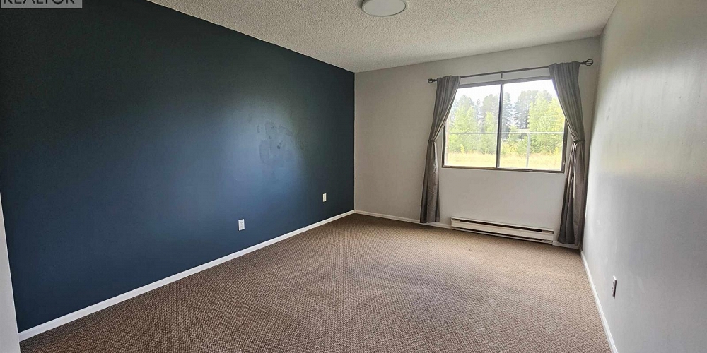 101 4931 WALSH AVENUE Terrace Photo 7