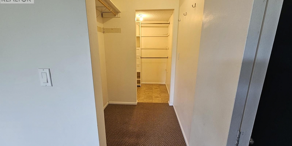 101 4931 WALSH AVENUE Terrace Photo 8