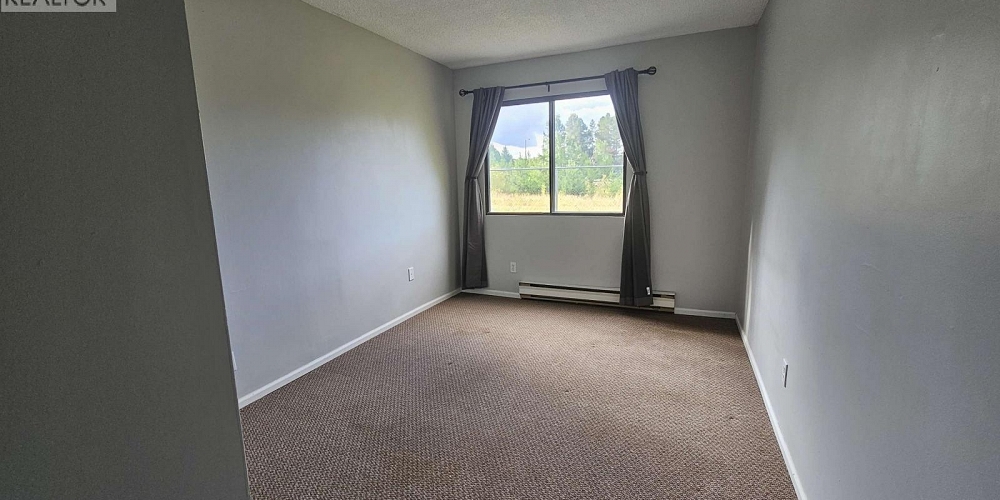 101 4931 WALSH AVENUE Terrace Photo 9
