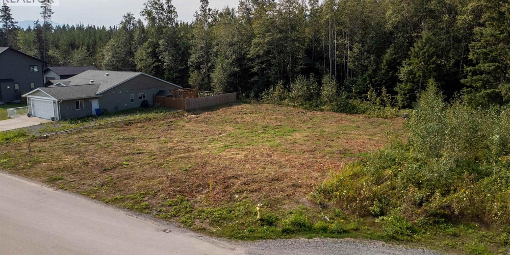 3913 CORY DRIVE Terrace Photo 2