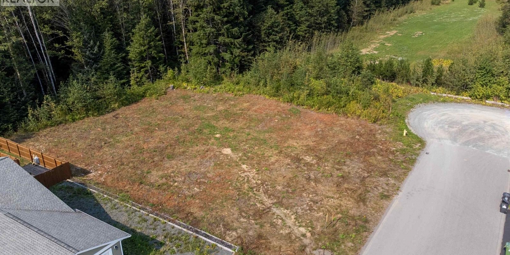 3913 CORY DRIVE Terrace Photo 3