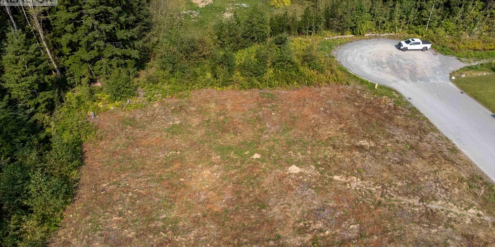 3913 CORY DRIVE Terrace Photo 4