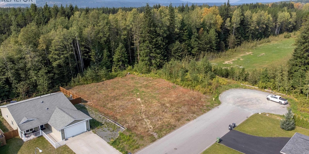 3913 CORY DRIVE Terrace Photo 7