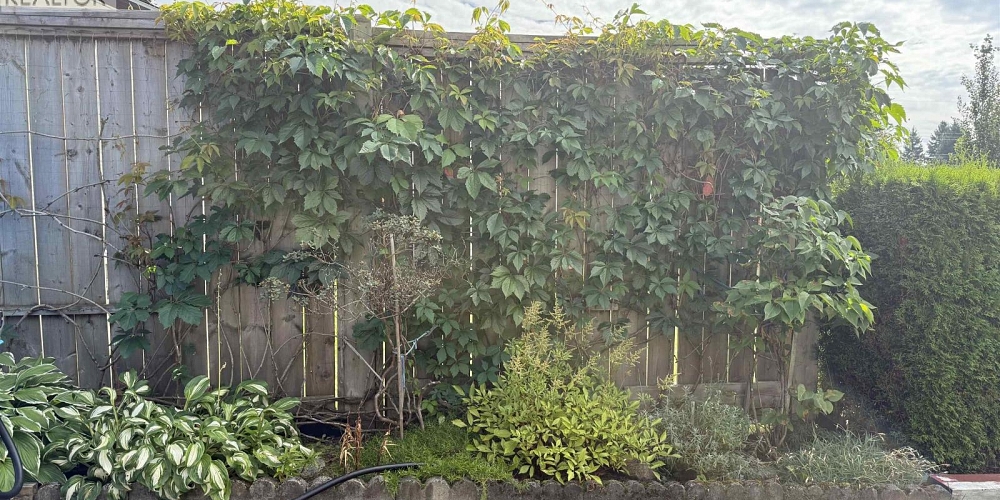 30 HAWK STREET Kitimat Photo 15