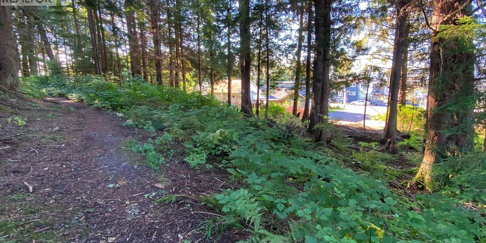 1376 OVERLOOK STREET Prince Rupert Photo 8