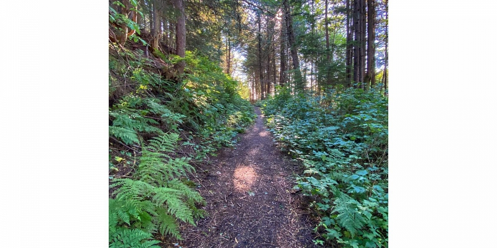 1376 OVERLOOK STREET Prince Rupert Photo 9