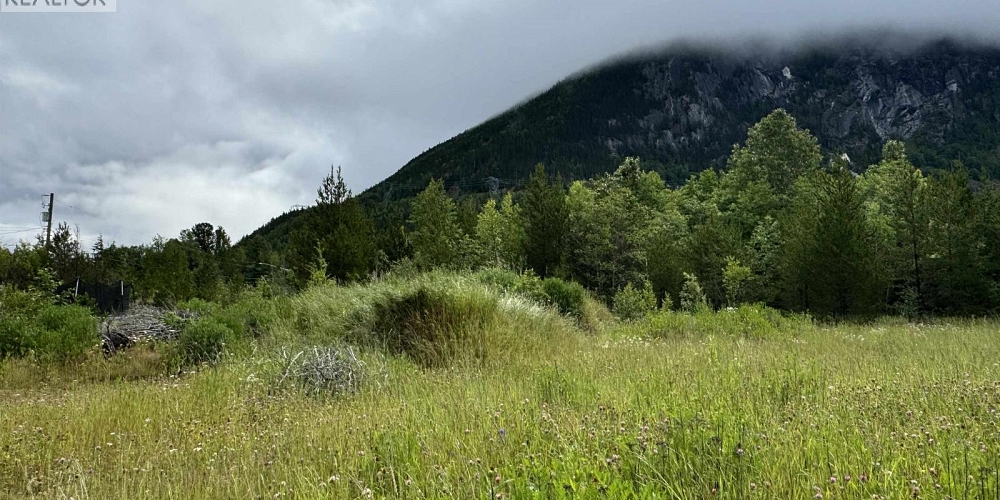 3728 DOBBIE STREET Terrace Photo 2