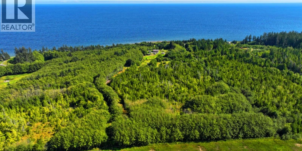 31790 16 HIGHWAY Daajing Giids City Photo 29