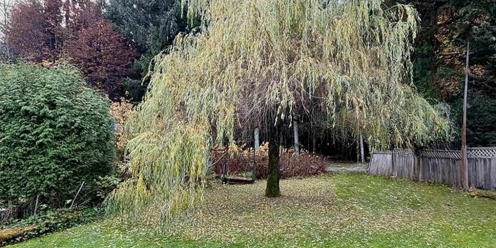 54 SKEENA STREET Kitimat Photo 3