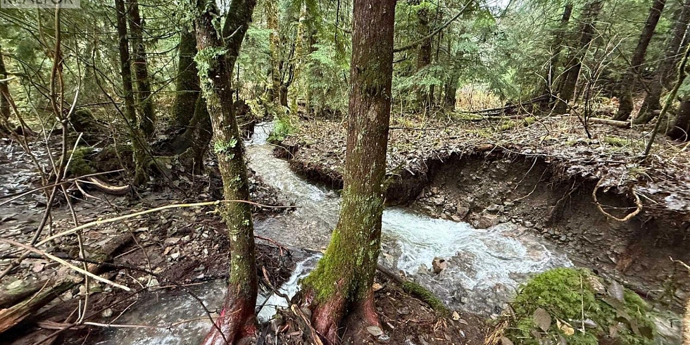 16398 16 HIGHWAY Terrace Photo 36