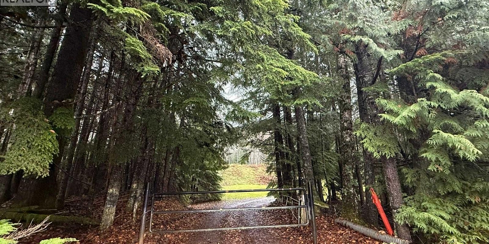 16398 16 HIGHWAY Terrace Photo 39