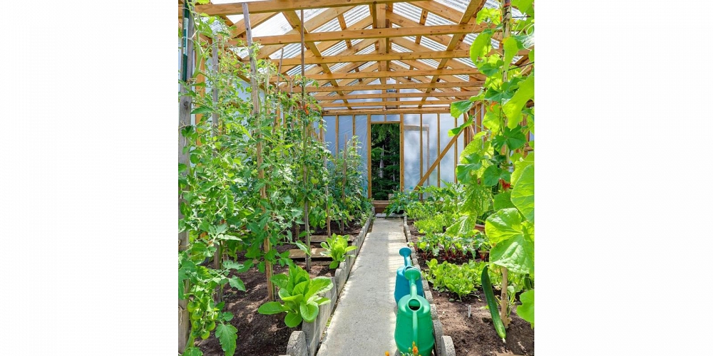 140 SMITH STREET Kitimat Photo 29