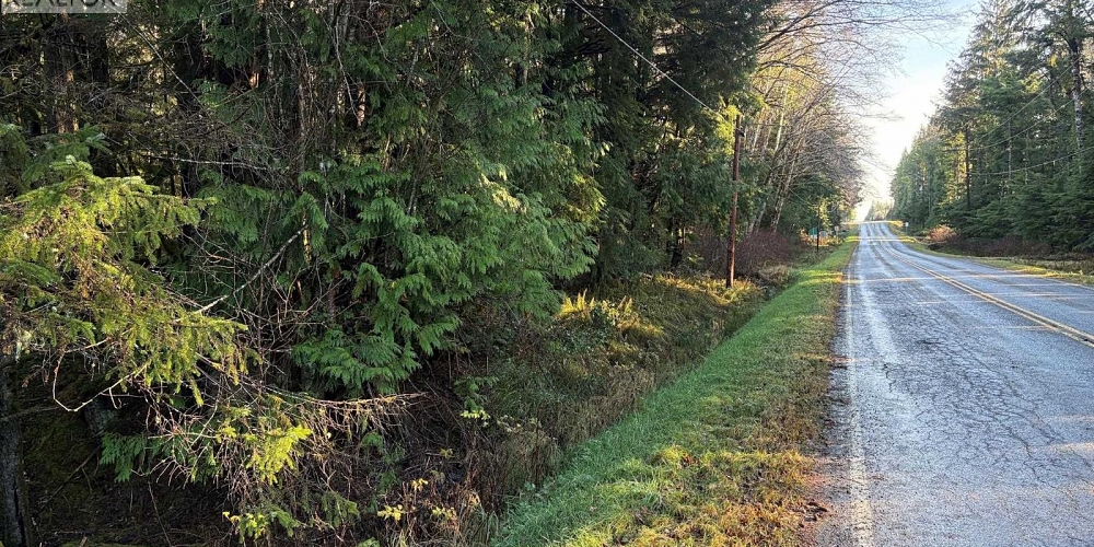 LOT-B 16 HIGHWAY Port Clements Photo 2