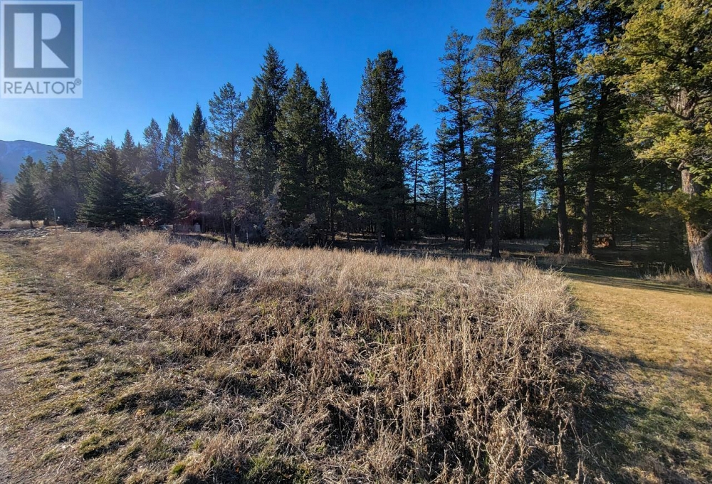 Lot 1 TAMARACK Bay Fairmont Hot Springs Photo 23