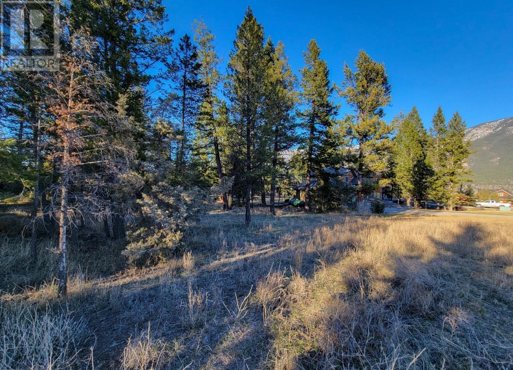 Lot 1 TAMARACK Bay Fairmont Hot Springs Photo 24