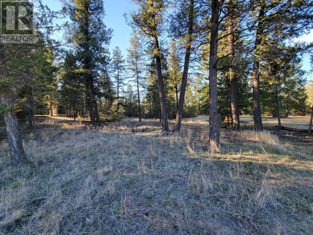 Lot 1 TAMARACK Bay Fairmont Hot Springs Photo 25