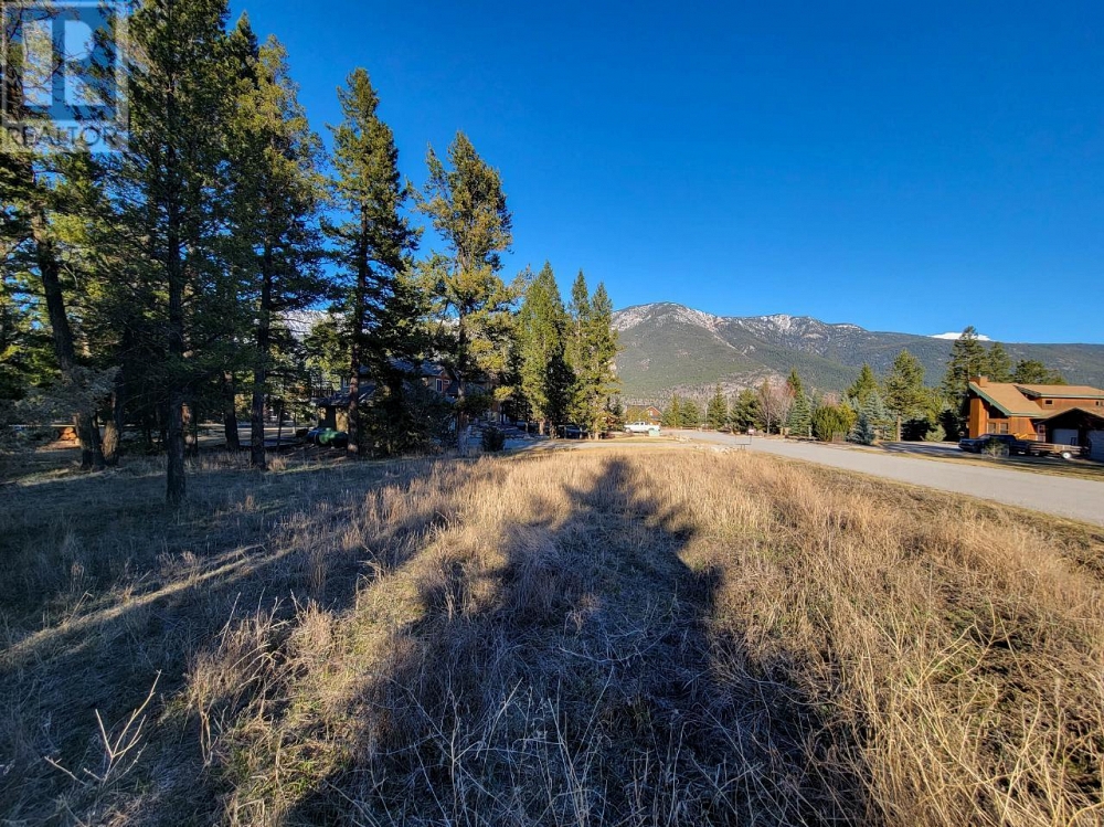 Lot 1 TAMARACK Bay Fairmont Hot Springs Photo 4