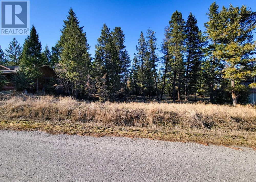 Lot 1 TAMARACK Bay Fairmont Hot Springs Photo 6