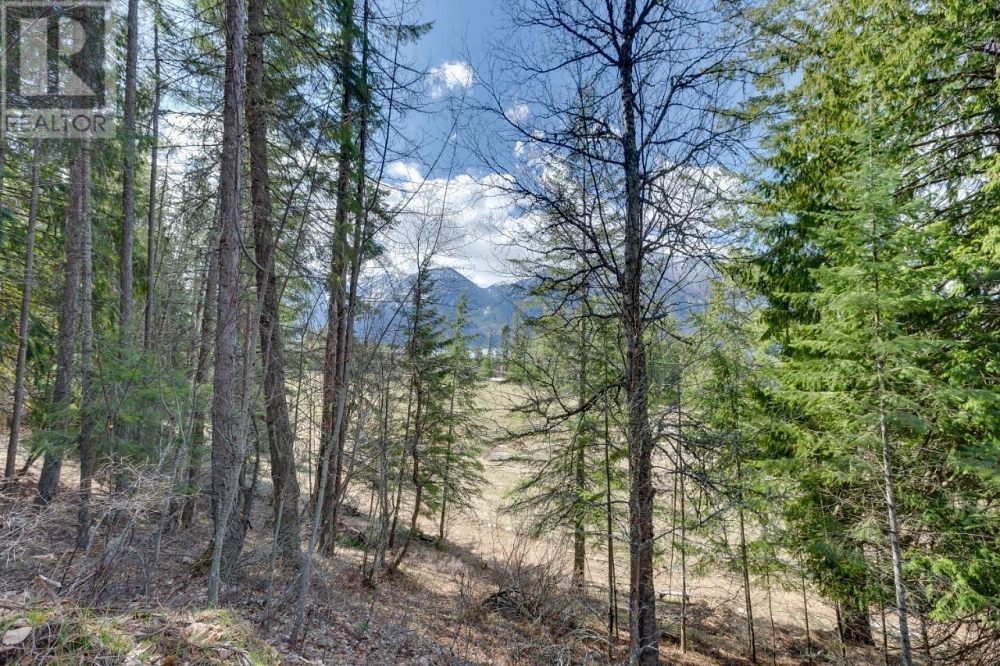 14448 3A Highway Gray Creek Photo 12