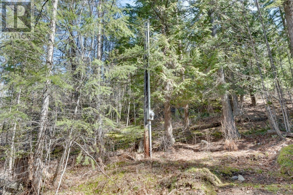 14448 3A Highway Gray Creek Photo 13