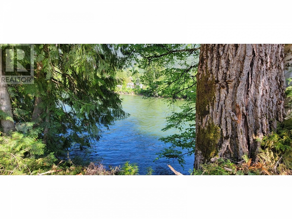 2467 SLOCAN VALLEY  WEST Road Slocan Park Photo 3