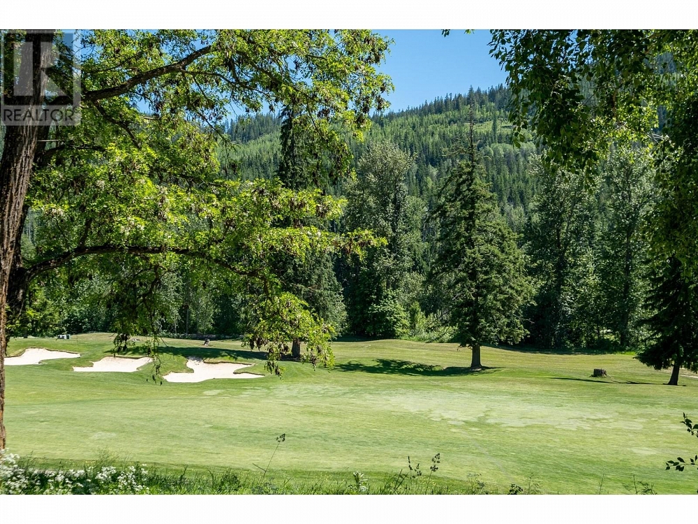 457 COPPER Road Rossland Photo 13
