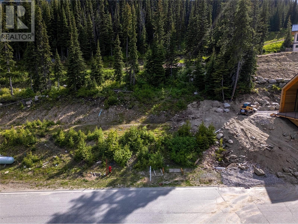 244 Creekview Road Lot# 1 Apex Mountain Photo 26