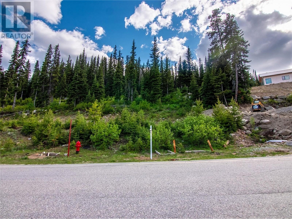 244 Creekview Road Lot# 1 Apex Mountain Photo 32