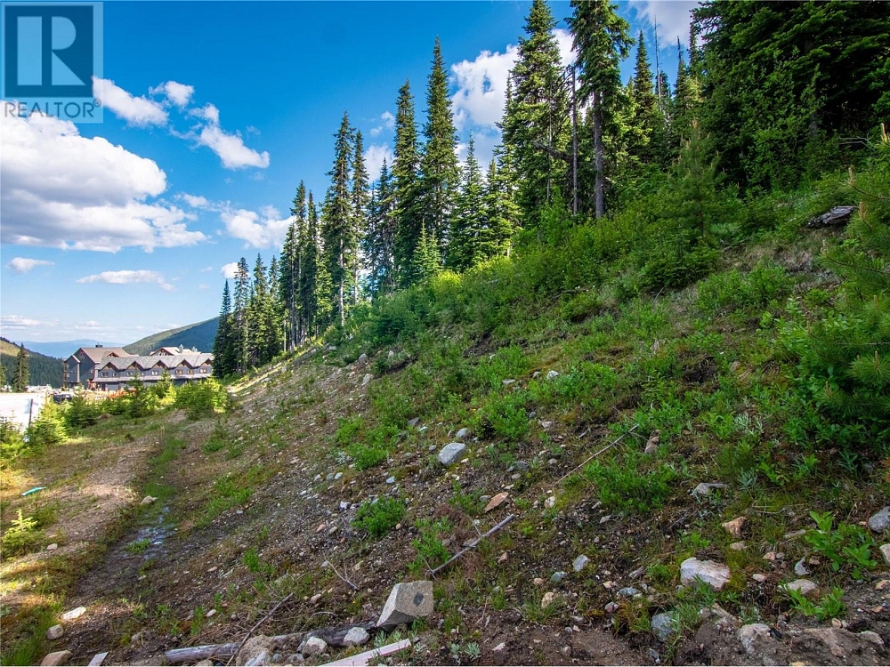 244 Creekview Road Lot# 1 Apex Mountain Photo 42