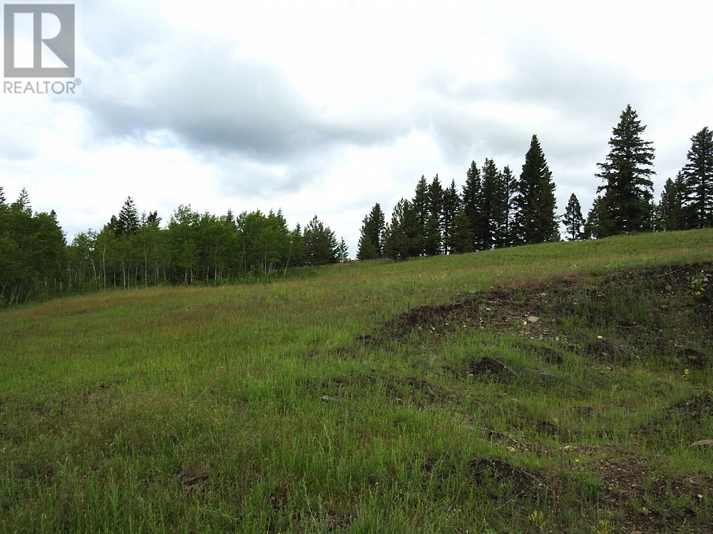 LOT A ROBBINS RANGE Road Kamloops Photo 6