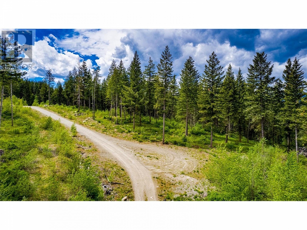 2-3294 Upper McLeod Road Lot# 2 Spallumcheen Photo 4