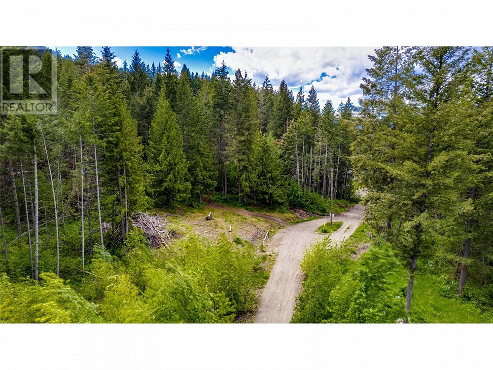 2-3294 Upper McLeod Road Lot# 2 Spallumcheen Photo 5