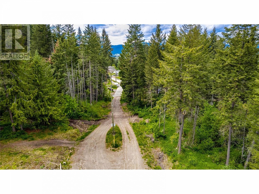 2-3294 Upper McLeod Road Lot# 2 Spallumcheen Photo 6