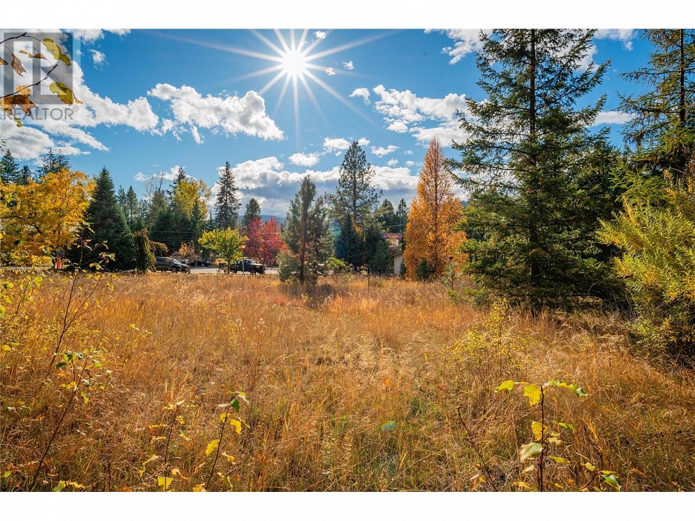 Lot 4 SANDNER FRONTAGE Road Christina Lake Photo 19