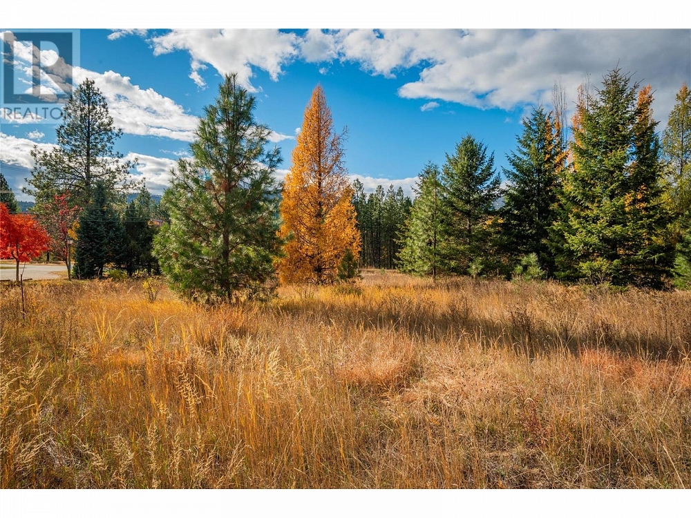 Lot 4 SANDNER FRONTAGE Road Christina Lake Photo 20