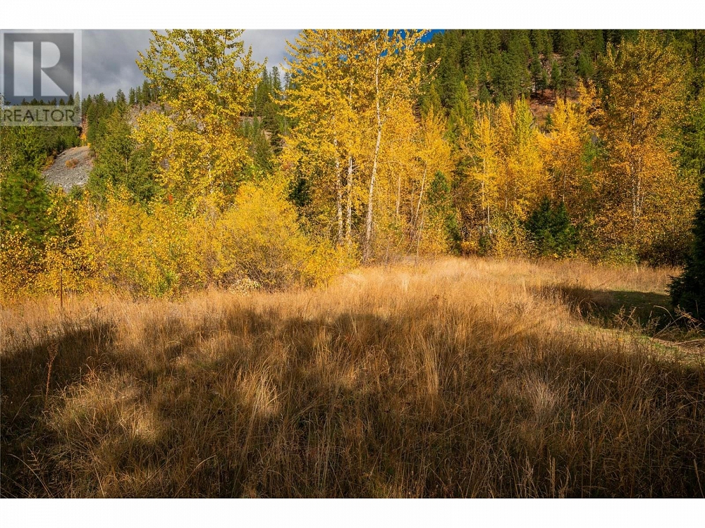 Lot 4 SANDNER FRONTAGE Road Christina Lake Photo 21