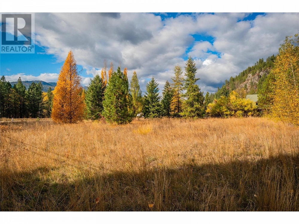 Lot 4 SANDNER FRONTAGE Road Christina Lake Photo 22