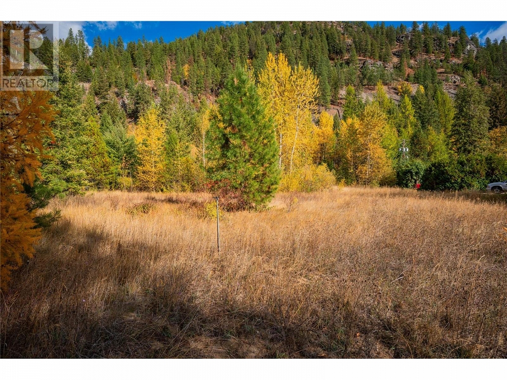 Lot 4 SANDNER FRONTAGE Road Christina Lake Photo 24