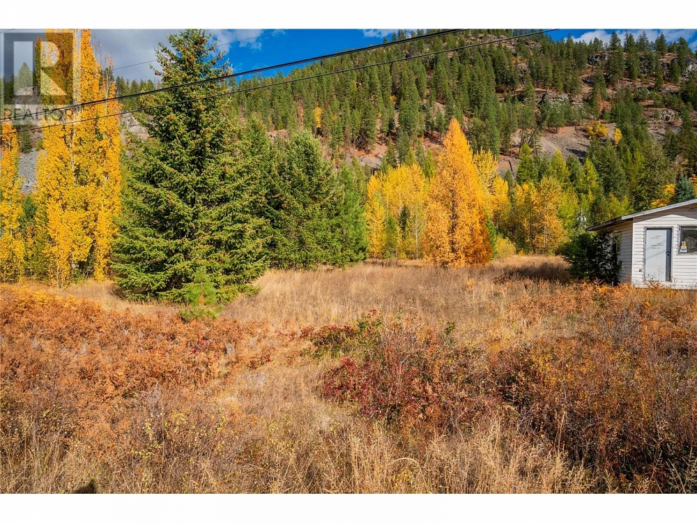 Lot 4 SANDNER FRONTAGE Road Christina Lake Photo 25